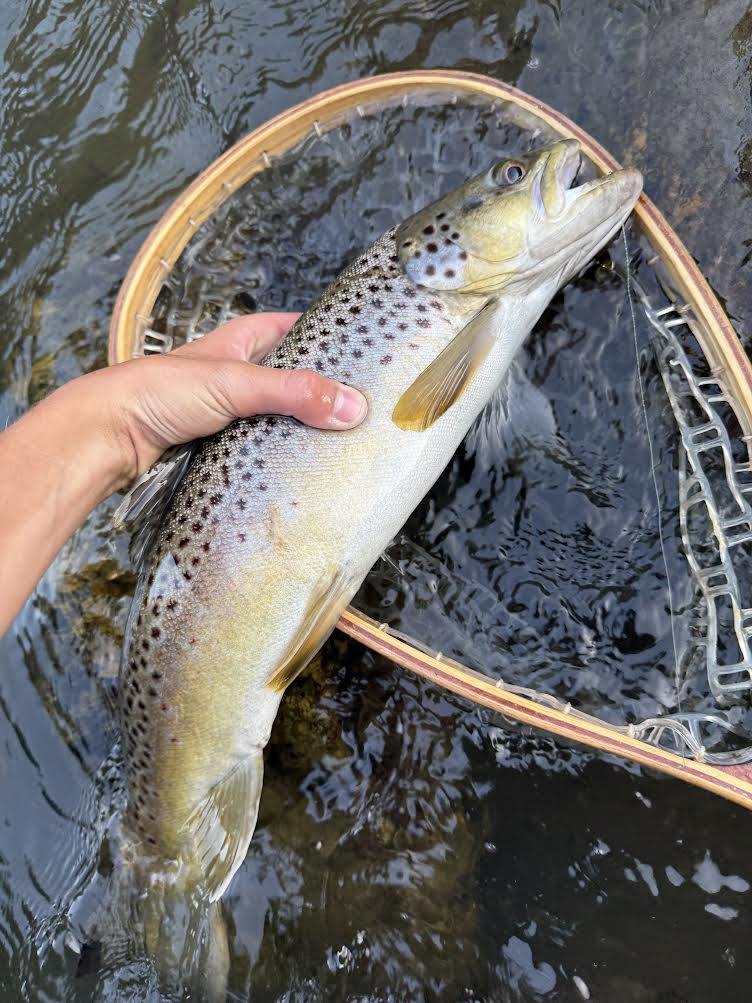 Fishing Report September 8th - 14th, 2025