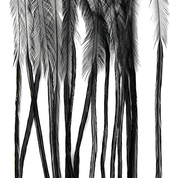 MFC Whiting 100 Pack Premium Dry Fly Hackle