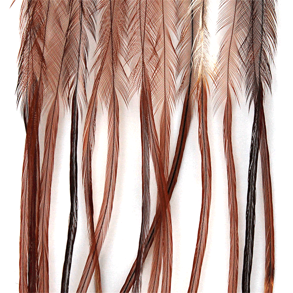 MFC Whiting 100 Pack Premium Dry Fly Hackle