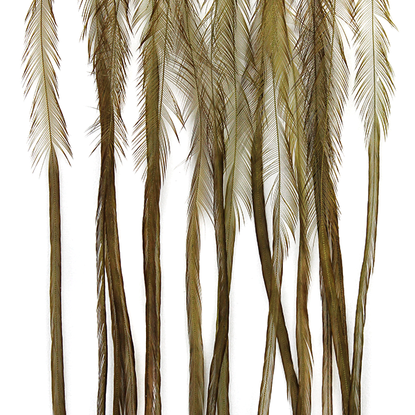 MFC Whiting 100 Pack Premium Dry Fly Hackle