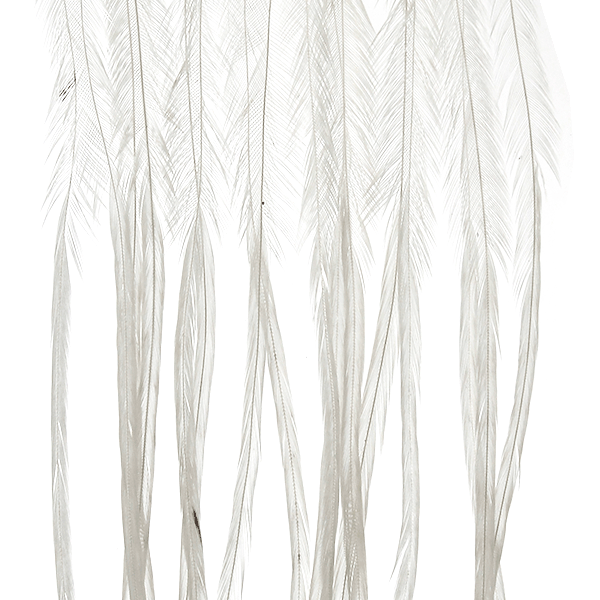 MFC Whiting 100 Pack Premium Dry Fly Hackle