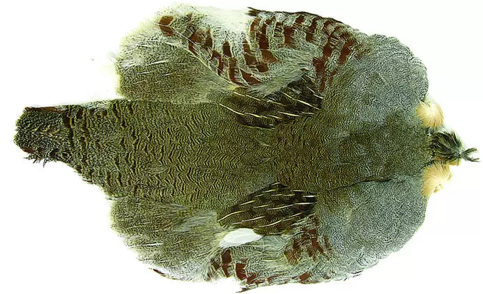 Wapsi Hungarian Partridge Half Skin