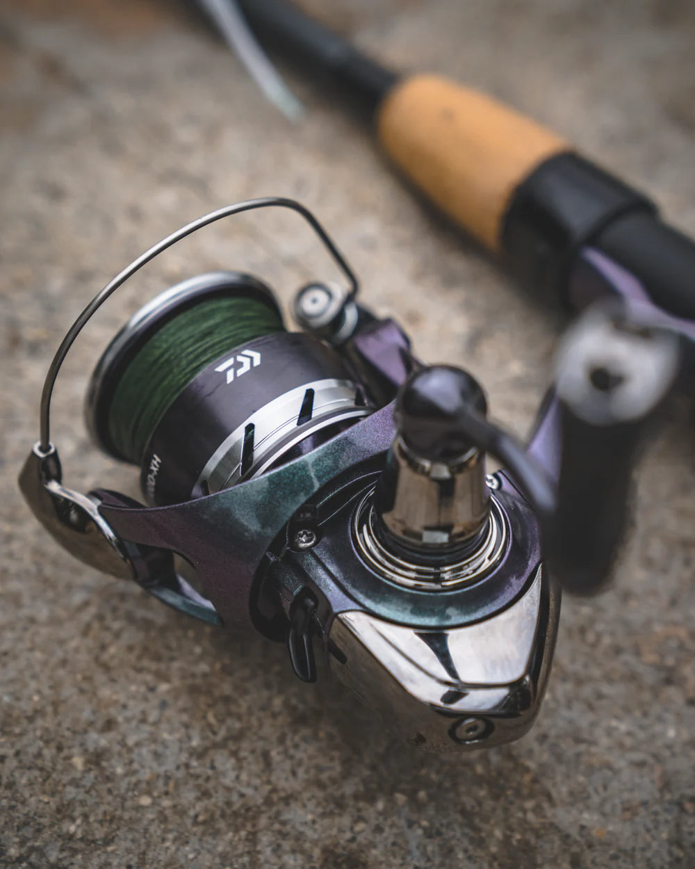 Daiwa Regal Spinning Reel