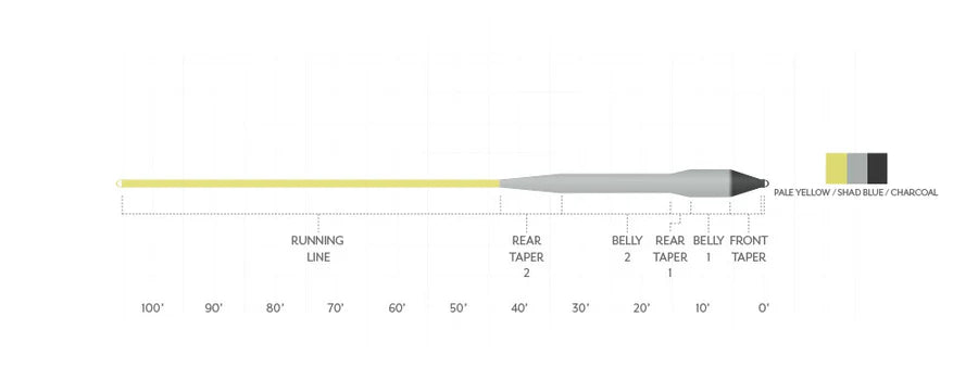 Scientific Anglers Sonar Titan Sink Tip Fly Line Float/Sink 5