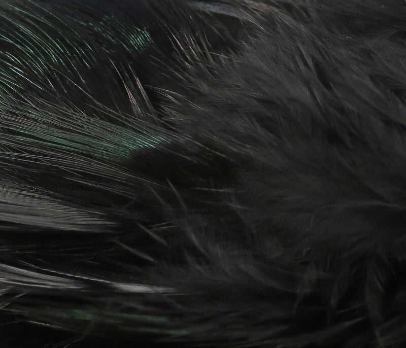 Hareline Strung Ring Neck Rump Feathers