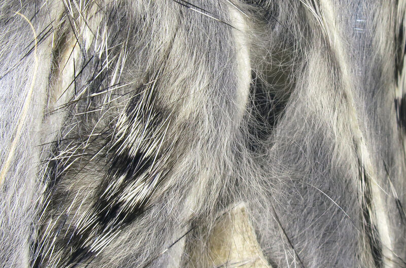 Hareline Black Barred Rabbit Strips