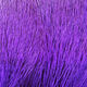 Hareline Premo Deer Hair Strip