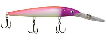 Rapala Down Deep Husky Jerk