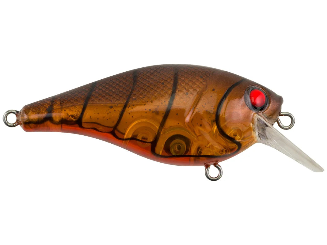 Berkley Square Bull 5.5