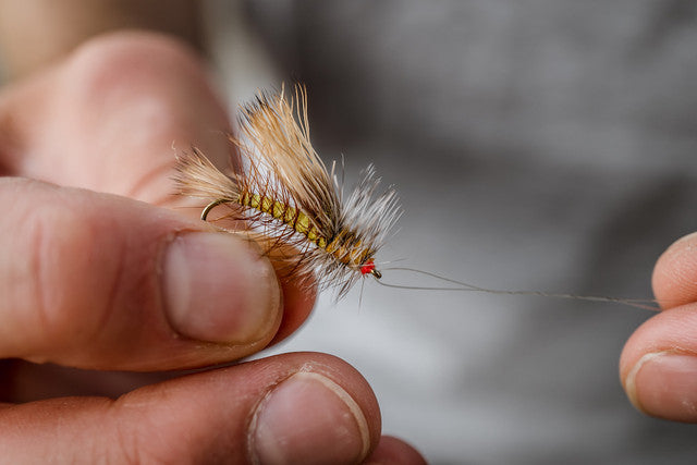 Tiemco TMC200R Nymph Fly Tying Hook