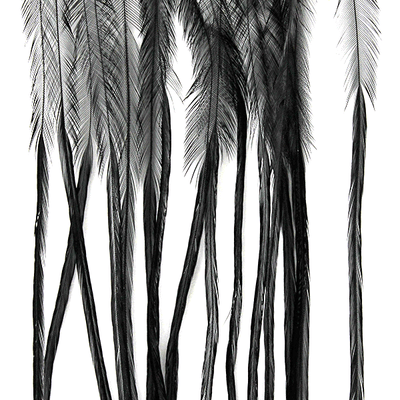 MFC Whiting 100 Pack Premium Dry Fly Hackle