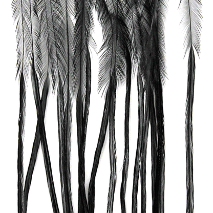MFC Whiting 100 Pack Premium Dry Fly Hackle