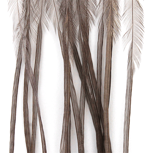 MFC Whiting 100 Pack Premium Dry Fly Hackle