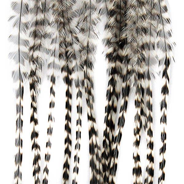 MFC Whiting 100 Pack Premium Dry Fly Hackle