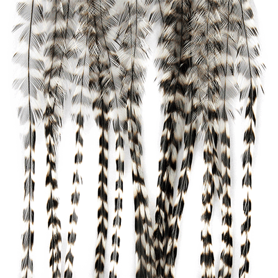 MFC Whiting 100 Pack Premium Dry Fly Hackle