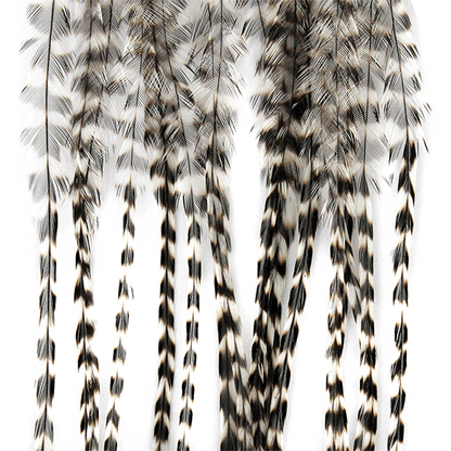 MFC Whiting 100 Pack Premium Dry Fly Hackle