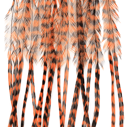 MFC Whiting 100 Pack Premium Dry Fly Hackle