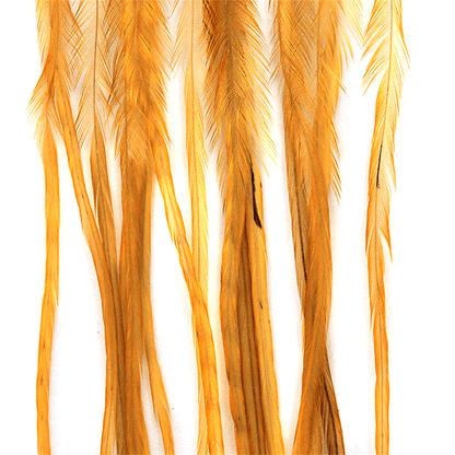 MFC Whiting 100 Pack Premium Dry Fly Hackle