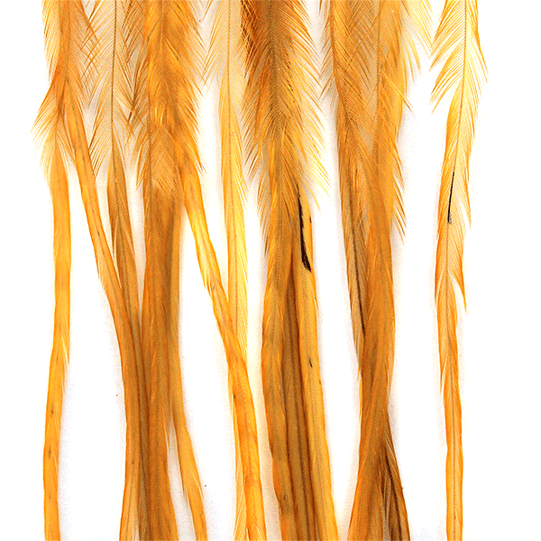 MFC Whiting 100 Pack Premium Dry Fly Hackle