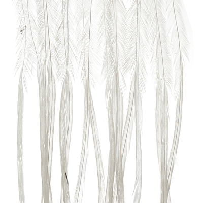 MFC Whiting 100 Pack Premium Dry Fly Hackle