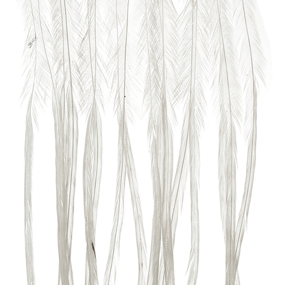 MFC Whiting 100 Pack Premium Dry Fly Hackle