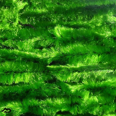 Hareline Chenille