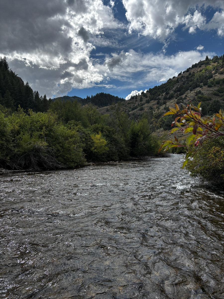 Logan River