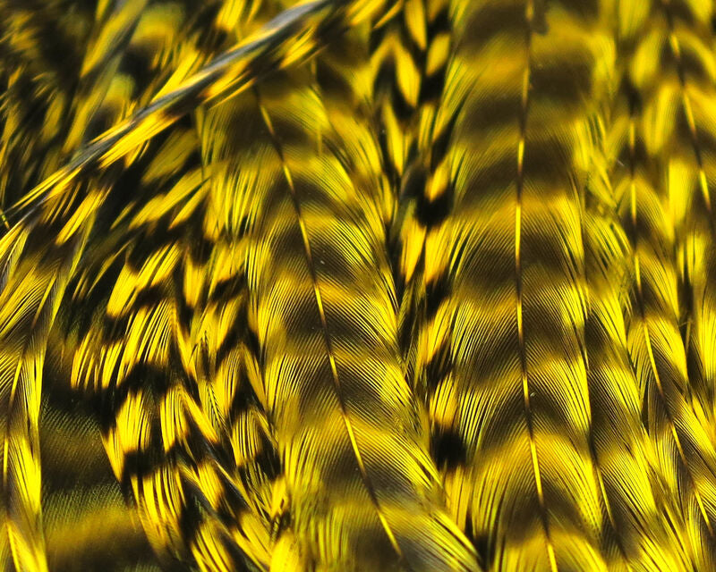 Keough Grade #1 Grizzly Half Saddle