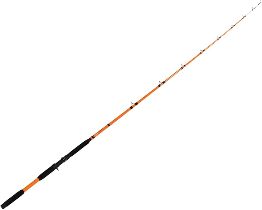 Catfish Pro Tournament Series Casting Rod