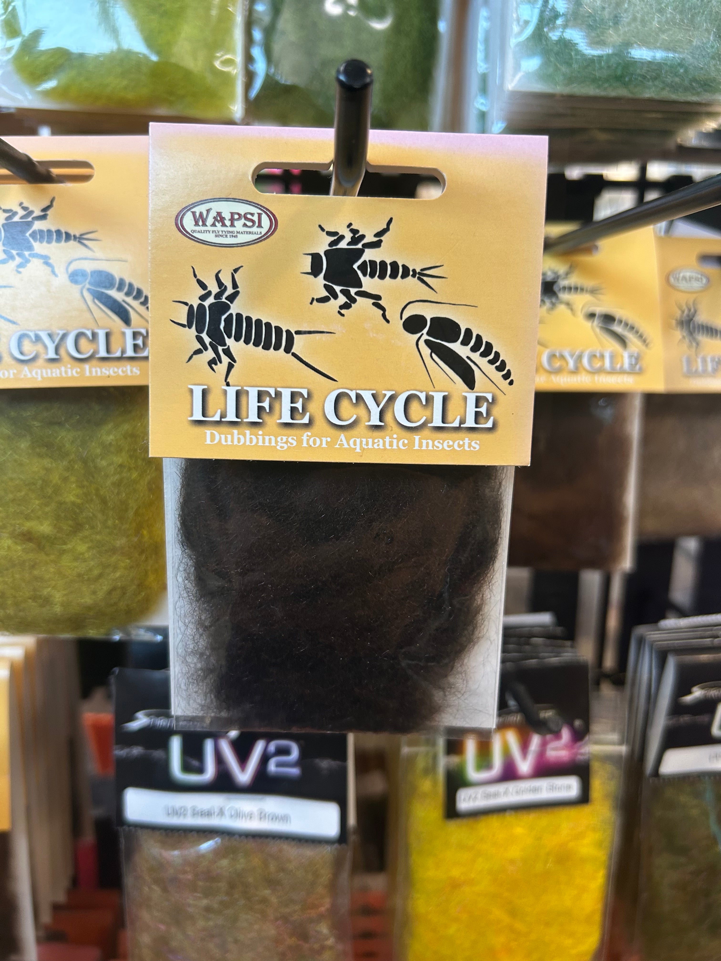 Wapsi Life Cycle Dubbing