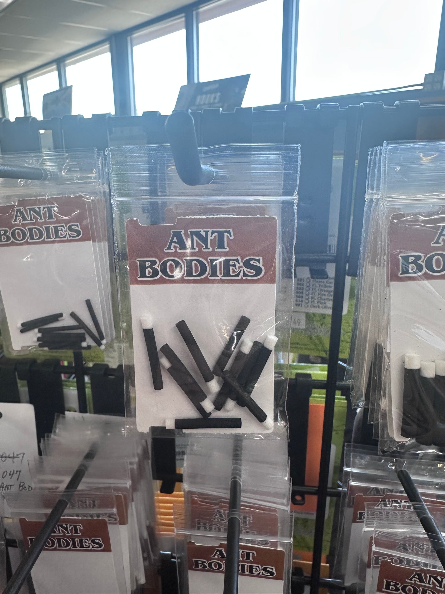Wapsi Ant Bodies