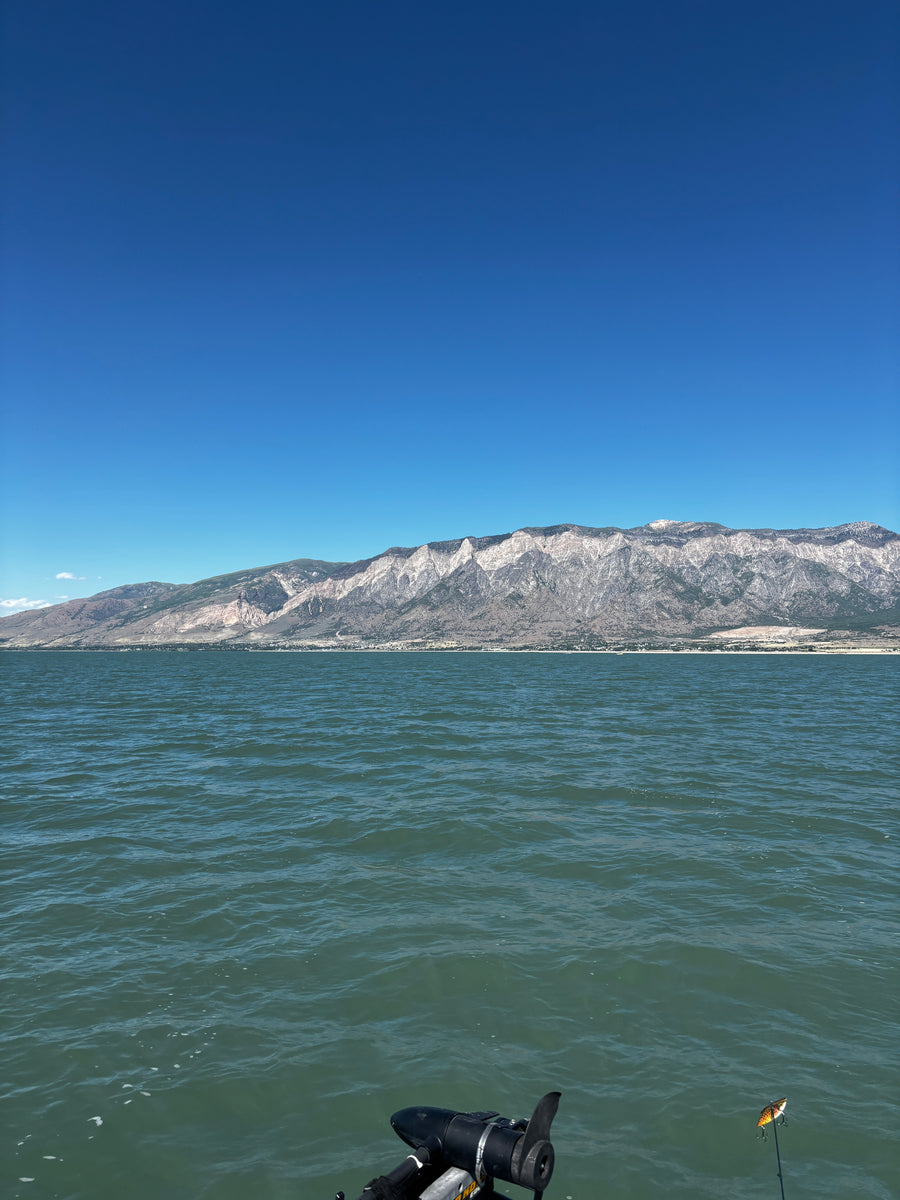 Willard Bay
