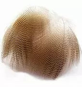 Wapsi Wood Duck Flank Feathers