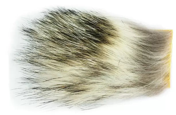 Wapsi Badger Small