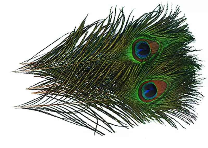 Wapsi Peacock Eyes