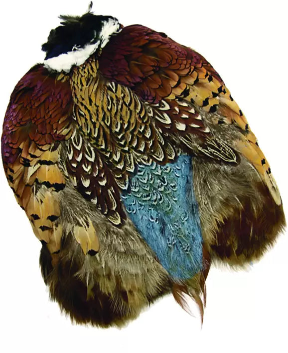 Wapsi Ringneck Pheasant Skin