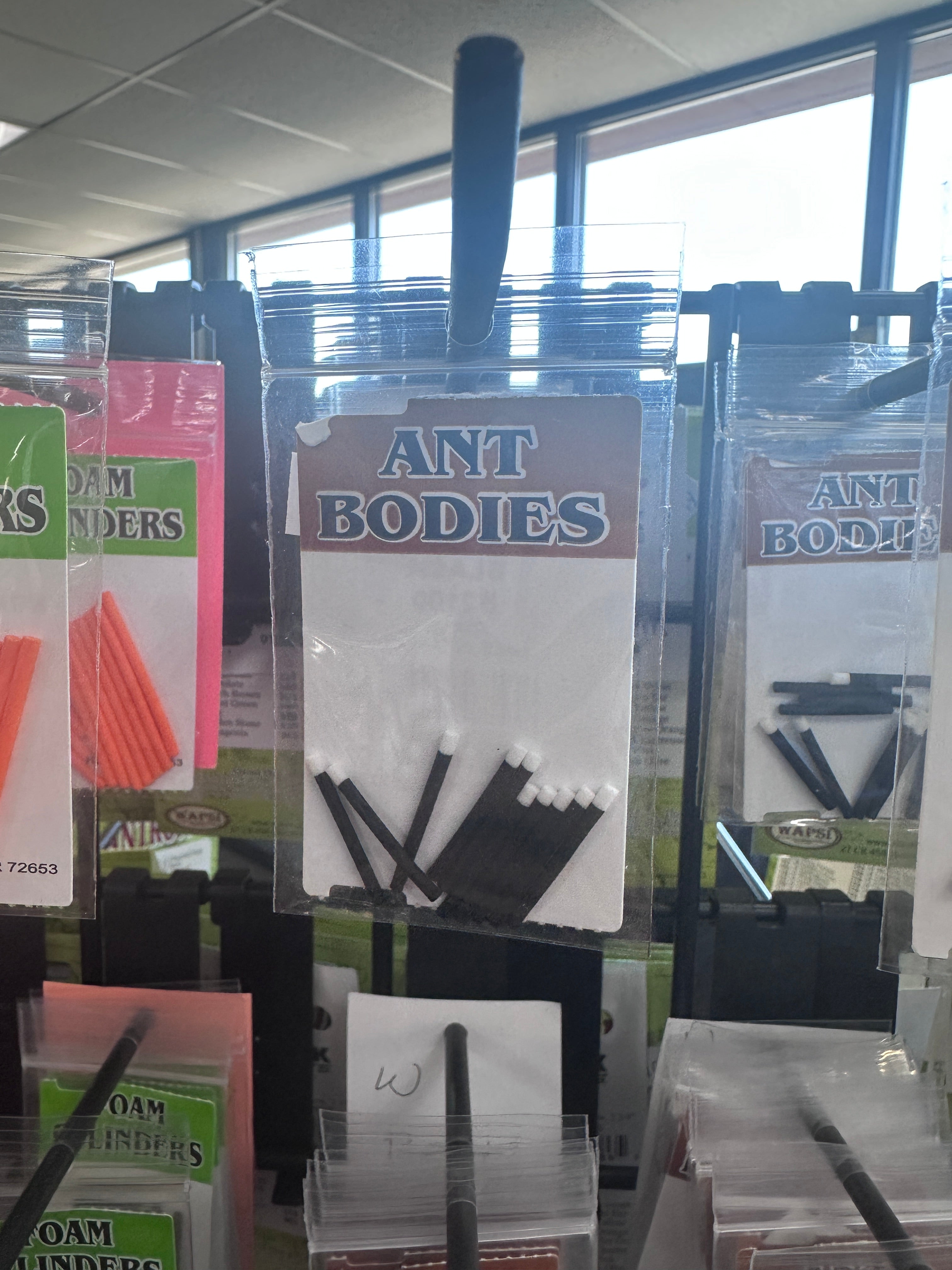 Wapsi Ant Bodies