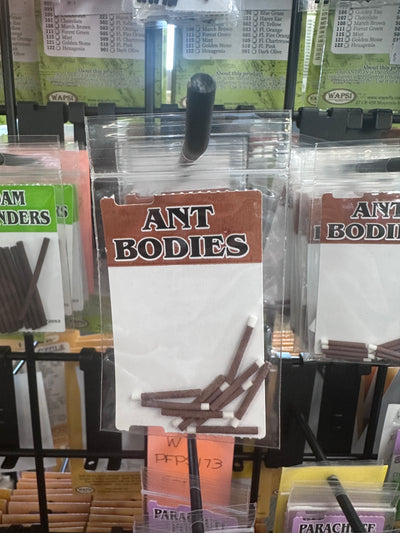 Wapsi Ant Bodies