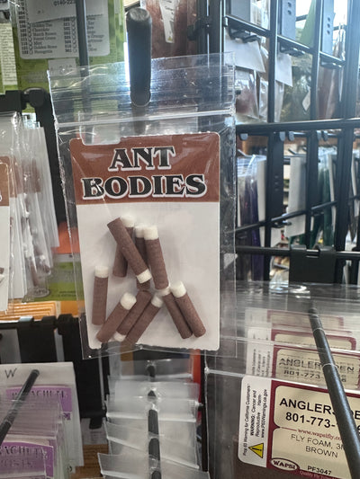 Wapsi Ant Bodies