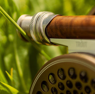 Sage Classic R8 snub-nose cork handle and walnut reel seat