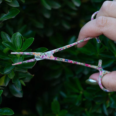 Brook Fishing Co. Hemostats