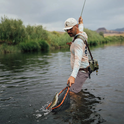 Rising Brookie Net