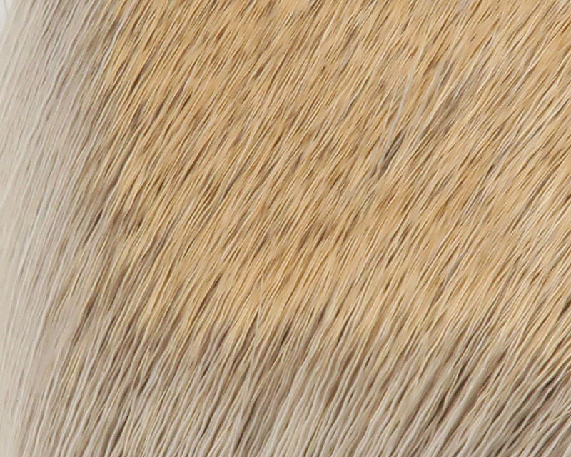 Hareline Coastal Deer Hair