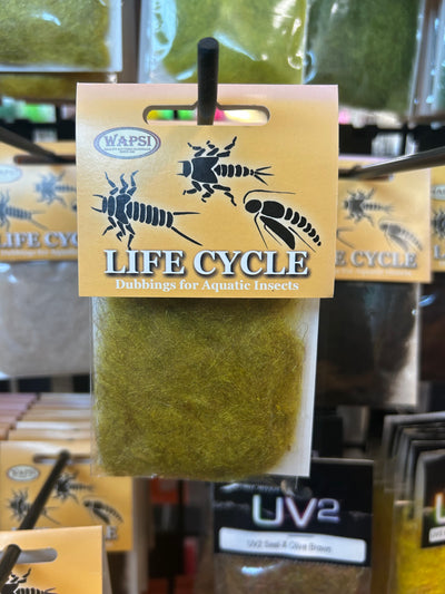 Wapsi Life Cycle Dubbing