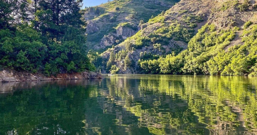 Causey Reservoir