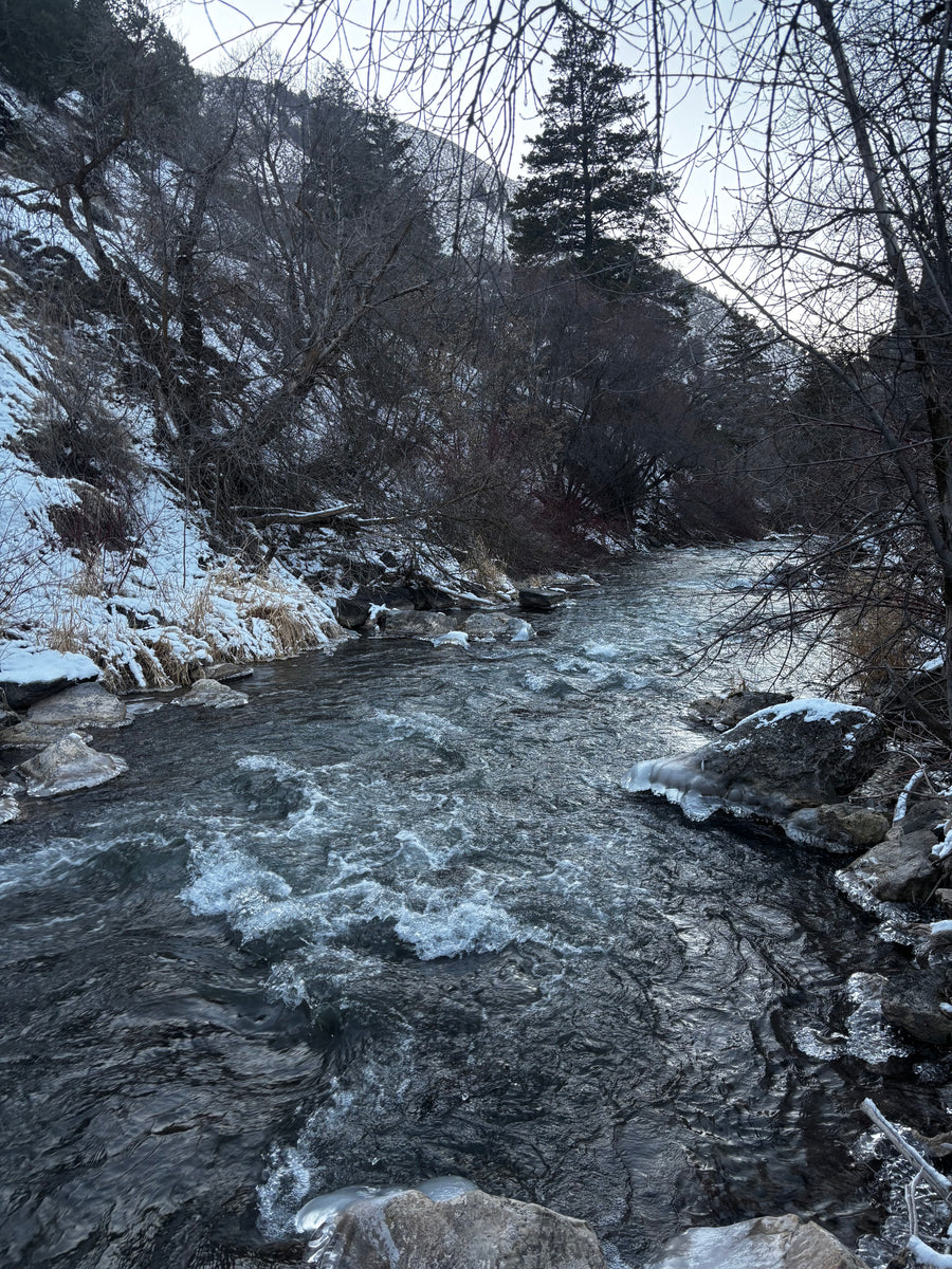 Blacksmith Fork River