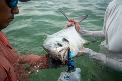 Umpqua River Run Big Game Plier With Sheath