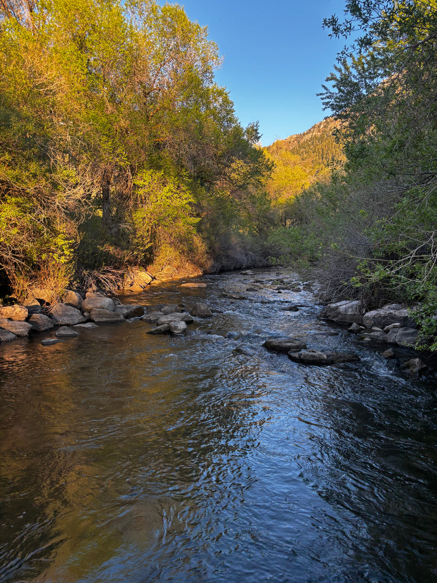 Ogden River