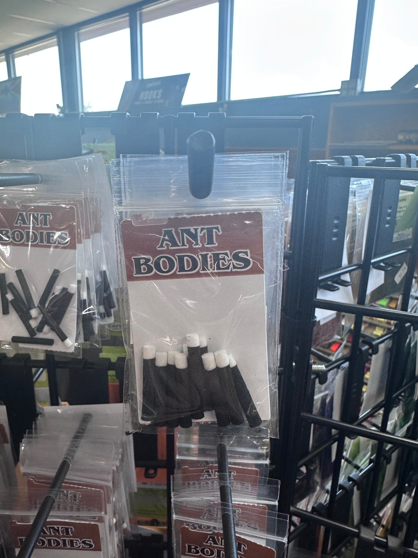 Wapsi Ant Bodies