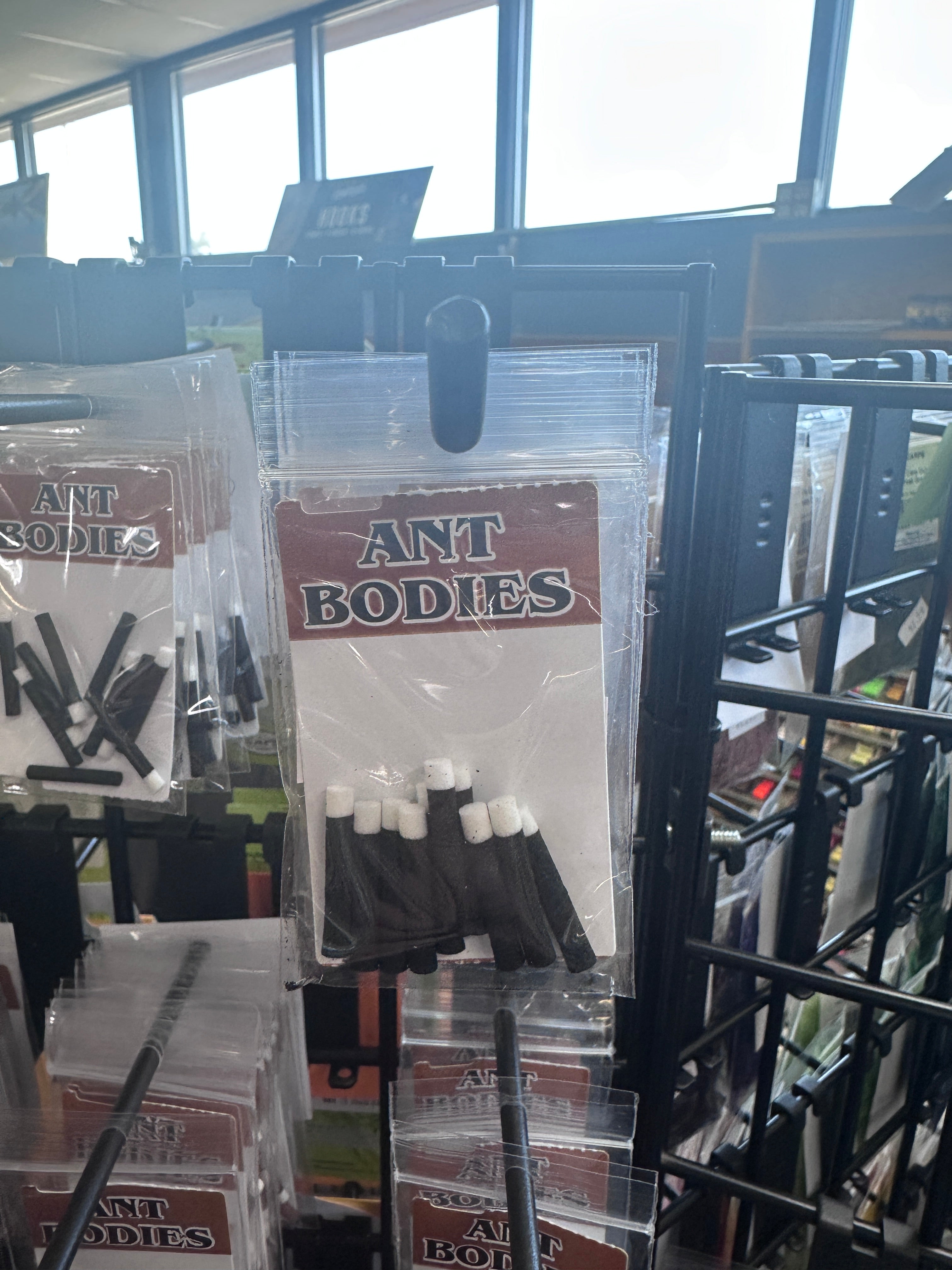 Wapsi Ant Bodies